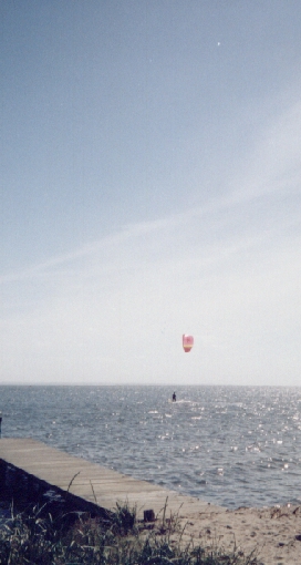 Ingen vgade sig i nrheten..